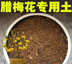 盆栽腊梅花用什么土壤 盆栽腊梅花用什么土壤