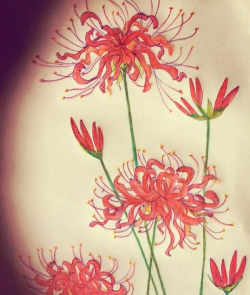 思念的花有哪些 思念的花有哪些