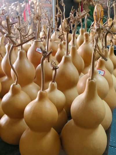 葫芦长什么样子 葫芦长什么样子