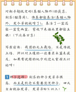 荆芥种植的时间和方法 荆芥种植的时间和方法