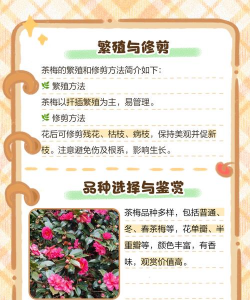 茶梅花怎么养殖方法 茶梅花怎么养殖方法