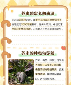 芥末是什么植物 芥末是什么植物