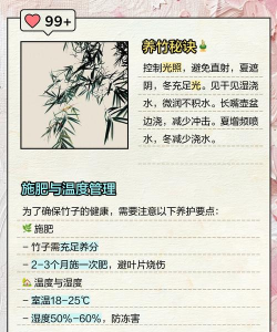 竹子叶尖发黄干枯什么原因 竹子叶尖发黄干枯什么原因