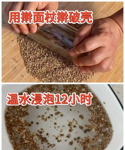 香菜什么时候间苗好 香菜什么时候间苗好