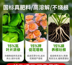 大海棠适合什么肥料最好 大海棠适合什么肥料最好