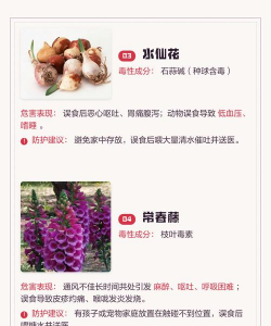 家里最常见的什么有毒 家里最常见的什么有毒