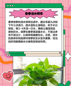夏天绿萝几天浇一次水 夏天绿萝几天浇一次水