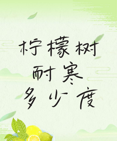 柠檬树耐寒多少度 柠檬树耐寒多少度