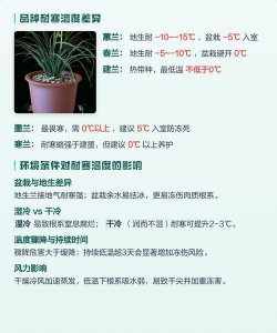 兰花耐寒多少度 兰花耐寒多少度