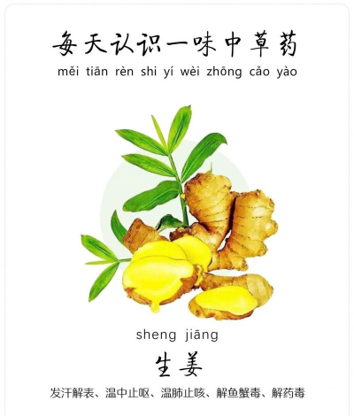 生姜 生姜百科 生姜 生姜百科