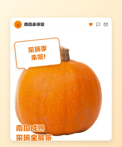 南瓜几月份成熟 南瓜几月份成熟