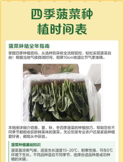 种菠菜几天浇一次水 种菠菜几天浇一次水