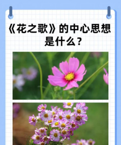 唱花有哪些歌 唱花有哪些歌