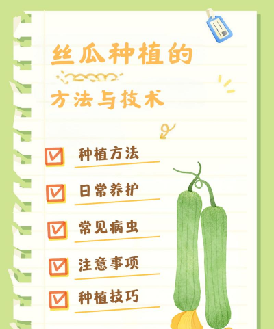 懒人种植丝瓜怎么种植的 懒人种植丝瓜怎么种植的