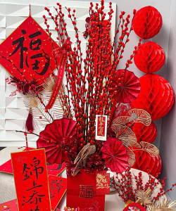 过年前后开什么花 过年前后开什么花