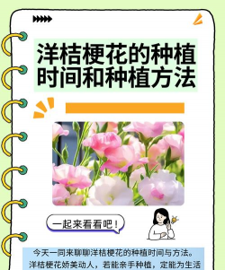 种植的桔梗花怎么种植 种植的桔梗花怎么种植