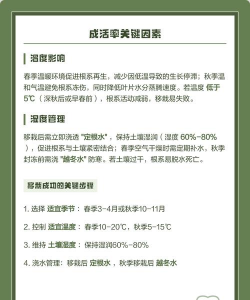 香椿树什么时候移栽容易成活 香椿树什么时候移栽容易成活