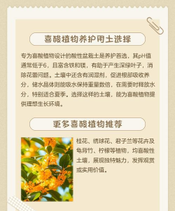 偏酸性花有哪些 偏酸性花有哪些