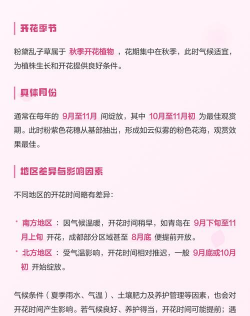 粉黛什么时候开花时间 粉黛什么时候开花时间