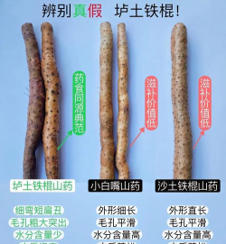 铁棍山药和普通山药的区别 铁棍山药和普通山药的区别