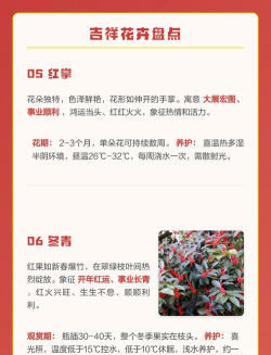 春节花期有哪些花 春节花期有哪些花