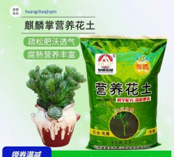 种麒麟掌用什么土 种麒麟掌用什么土