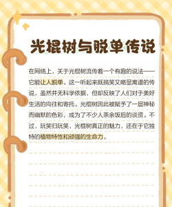 光棍树为什么会蔫 光棍树为什么会蔫