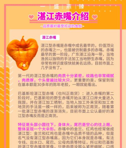 花胶有哪些级别 花胶有哪些级别