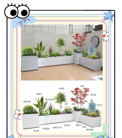 种植箱种植物怎么种的 种植箱种植物怎么种的