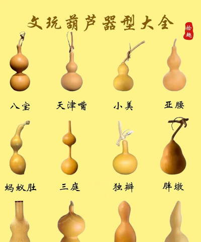 葫芦 葫芦百科 葫芦 葫芦百科