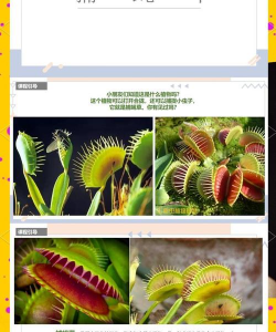 猪笼草会有什么表现 猪笼草会有什么表现