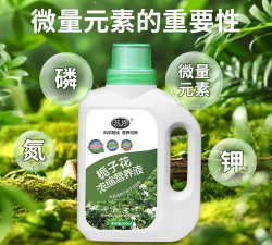 秋季栀子花用什么肥 秋季栀子花用什么肥
