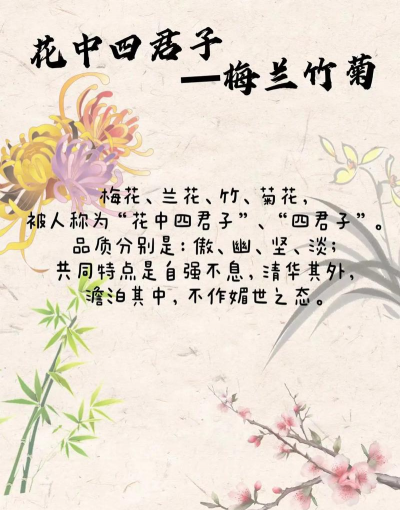 花中君子指的是什么 花中君子指的是什么
