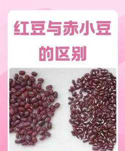 红豆与赤小豆的区别 红豆与赤小豆的区别