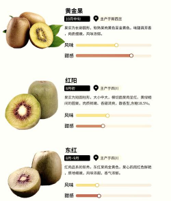 奇异果和猕猴桃的区别 奇异果和猕猴桃的区别