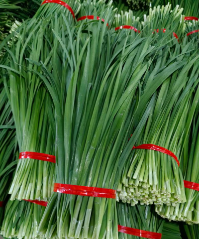 韭菜 韭菜百科 韭菜 韭菜百科