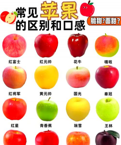 苹果 苹果百科 苹果 苹果百科
