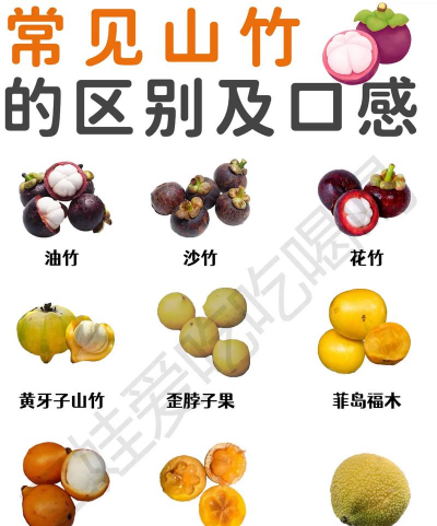 山竹 山竹百科 山竹 山竹百科