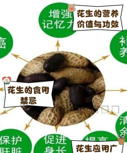 花生 花生百科 花生 花生百科