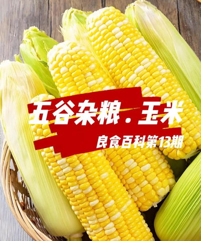 玉米 玉米百科 玉米 玉米百科