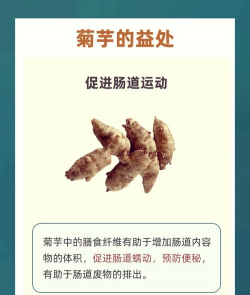 菊芋 菊芋百科 菊芋 菊芋百科