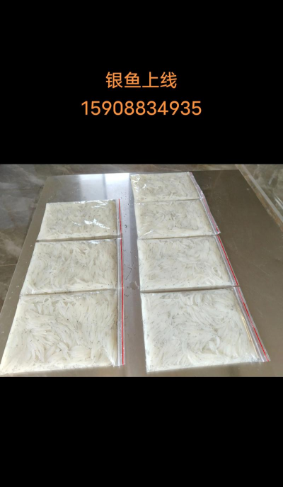 银鱼 银鱼百科 银鱼 银鱼百科