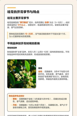 深圳桂花什么时候开花 深圳桂花什么时候开花
