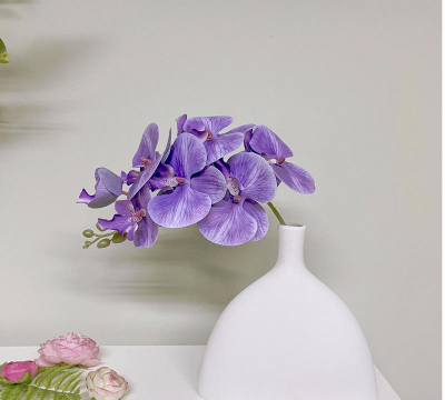 北欧的花有哪些 北欧的花有哪些