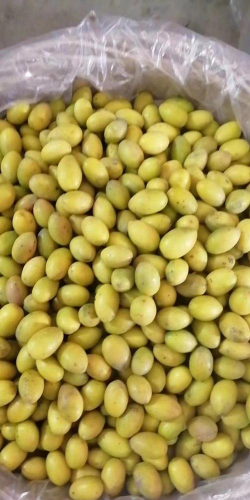 潮阳三棱榄 潮阳三棱榄