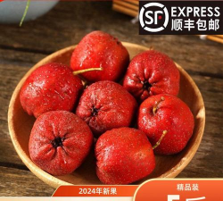 大五棱山楂 大五棱山楂