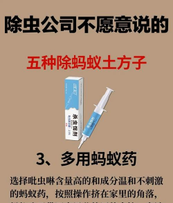 永久去除蚂蚁的小妙招 永久去除蚂蚁的小妙招