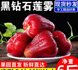 黑钻石莲雾 黑钻石莲雾