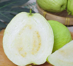 珍珠番石榴 珍珠番石榴