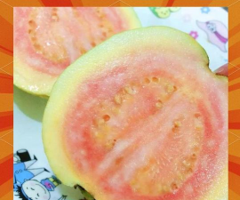 翡翠番石榴 翡翠番石榴